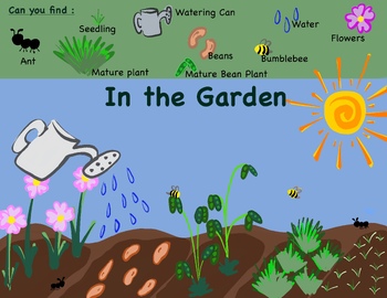 Preview of Can you find : in the garden