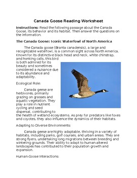 Preview of Canada Goose Reading Worksheet w/Answer Key **Editable**
