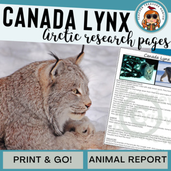 Preview of Canada Lynx Arctic Animal Research Page for 1st 2nd 3rd grade animal reports