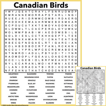 Preview of Canadian Birds Word Search