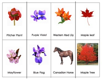 Preview of Canadian Floral Emblems Three Part Cards
