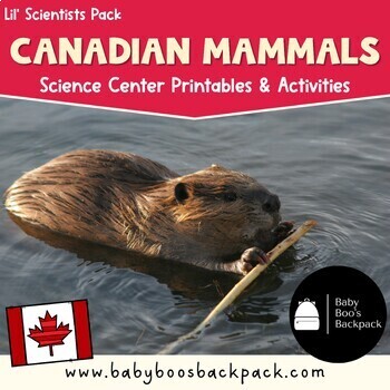 Preview of Canadian Mammals | Science Printables | Science Activities