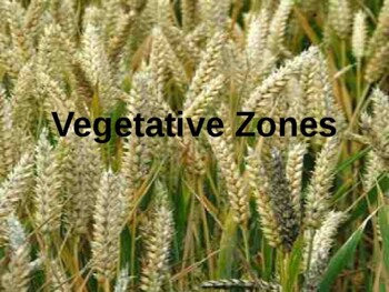 Preview of Canadian Natural Vegetative Zones (Geography)