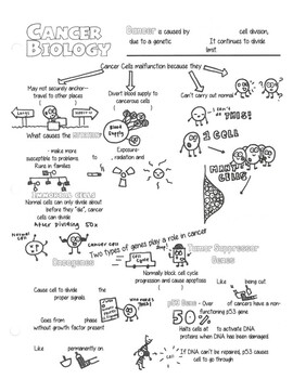 Preview of Cancer Biology Sketch Notes