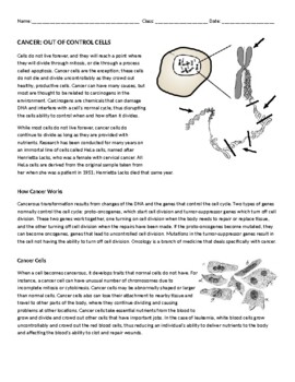 Cancer HeLa cells worksheet by Bio by Arensbak TPT