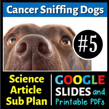 Preview of Cancer Sniffing Dogs - Sub Plan / Science Reading #5 (Google Slide & PDF)