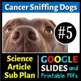 Cancer Sniffing Dogs - Sub Plan / Science Reading #5 (Goog