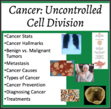 Cancer: Uncontrolled Cell Division - Google Slides and Pow