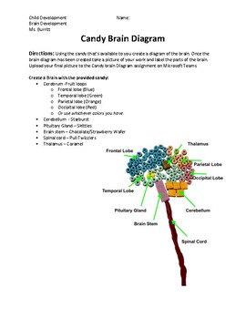 Preview of Candy Brain Diagram