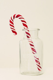 Candy Cane Science Experiment