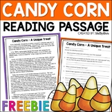 Halloween Reading Comprehension Passage and Questions