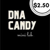 Candy DNA Mini Lab with KEY