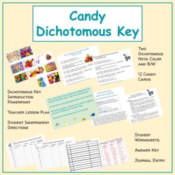Candy Dichotomous Key by The Science Nest
