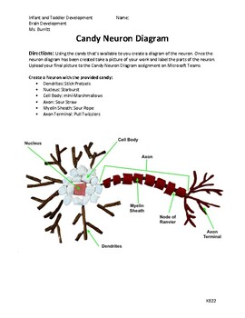 Preview of Candy Neuron
