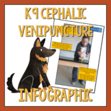 Canine Cephalic Venipuncture Infographic
