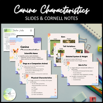 Preview of Canine Characteristics - Cornell Notes with Slides