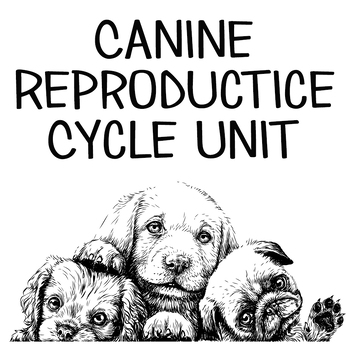 Preview of Canine Reproductive Cycle Unit