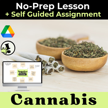 Preview of Cannabis / Marijuana Google Slides Lesson + Self Guided lesson + Worksheet 7-12