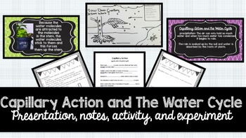 Preview of Capillary Action + Water Cycle: Presentation, Notes, Activity, and Lab