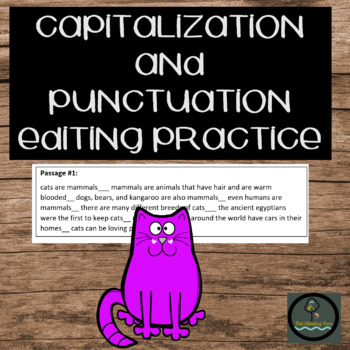 Preview of Capitalization and Punctuation Editing Practice