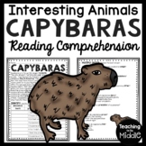 Capybaras Informational Text Reading Comprehension Workshe