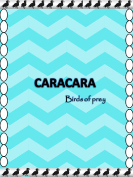 Preview of Caracara - Birds of Prey