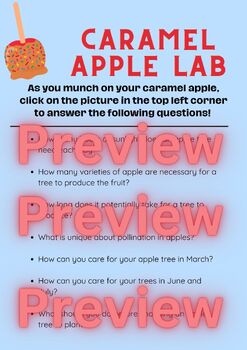 Preview of Caramel Apple Lab