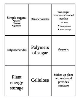 Preview of Carbohydrate Concentration Game