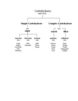 Preview of Carbohydrate Family Tree