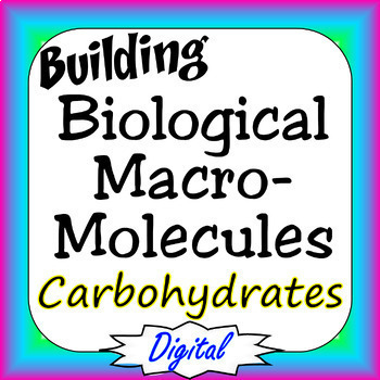 Preview of Carbohydrates Building Biological Macromolecules Digital Interactive Version