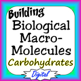Carbohydrates Building Biological Macromolecules Digital I