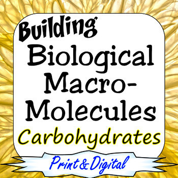 Preview of Carbohydrates Building Biological Macromolecules Print & Digital Bundle