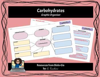 Preview of Biology Worksheet- Biochemistry: Macromolecule (Carbohydrates) Graphic Organizer