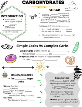 Preview of Carbohydrates Guided Notes