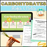 Carbohydrates Slides & Notes | Nutrition: Macronutrients |