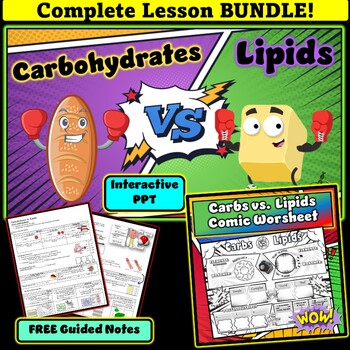 Preview of Carbohydrates and Lipids Complete Lesson BUNDLE | PPT, FREE notes, Activity
