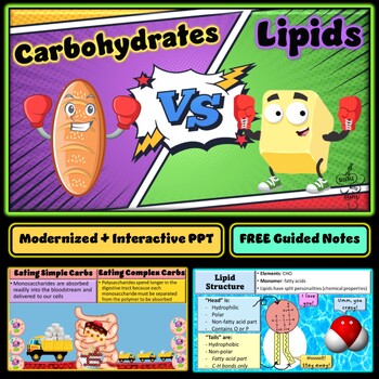 Preview of Carbohydrates and Lipids Interactive PowerPoint | + FREE Guided Notes