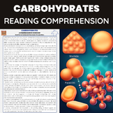 Carbohydrates in Biology | Composition & Types | Introduct