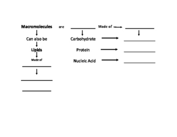 Macromolecules Chart Polymers