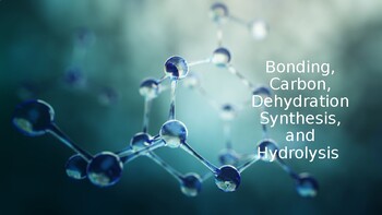 Preview of Carbon, Bonding, Dehydration Synthesis/Hydrolysis