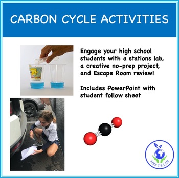 Preview of Carbon Cycle Activities for High School Environmental Science