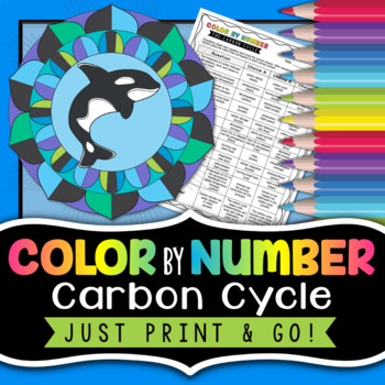 Preview of Carbon Cycle Color by Number - Science Color By Number Activity