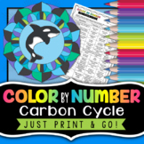 Carbon Cycle Color by Number - Science Color By Number Activity