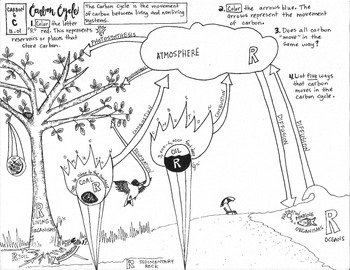 Preview of Carbon Cycle Coloring Sheet