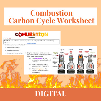 Preview of Carbon Cycle- Combustion Worksheet