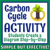 Carbon Cycle Activity Middle School NGSS MS-LS1-6  MS-LS2-3