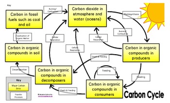 Preview of Carbon Cycle Game Manipulative and/or Interactive Notes Page