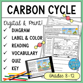 Preview of Carbon Cycle Diagram, Background Reading, and Questions Worksheets
