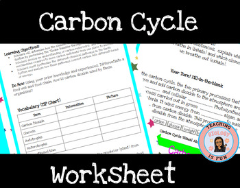 Preview of Carbon Cycle Guided Notes Biology Scaffolded Activity Worksheet Follow Along