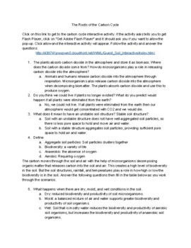 Preview of Carbon Cycle Interactive Activity